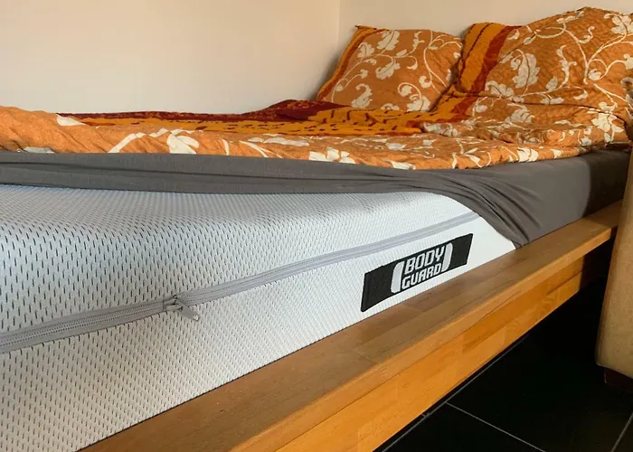 Ferienwohnung Mainz